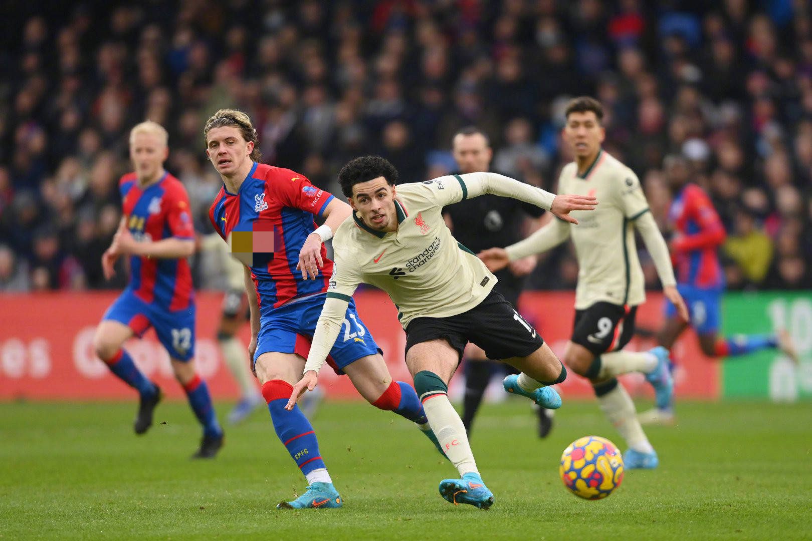 的坚定信心 的坚定信心