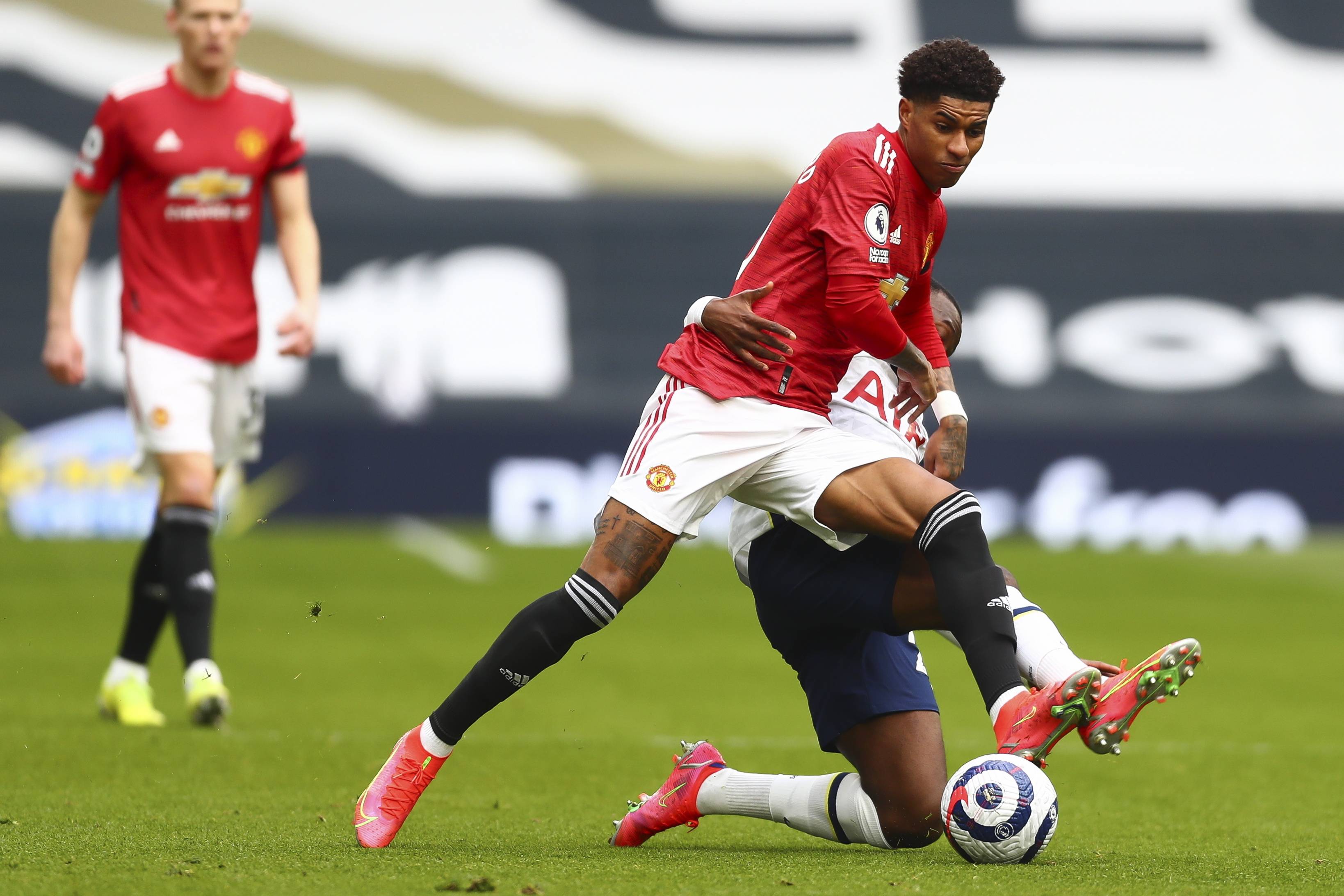 种归属时 种归属时