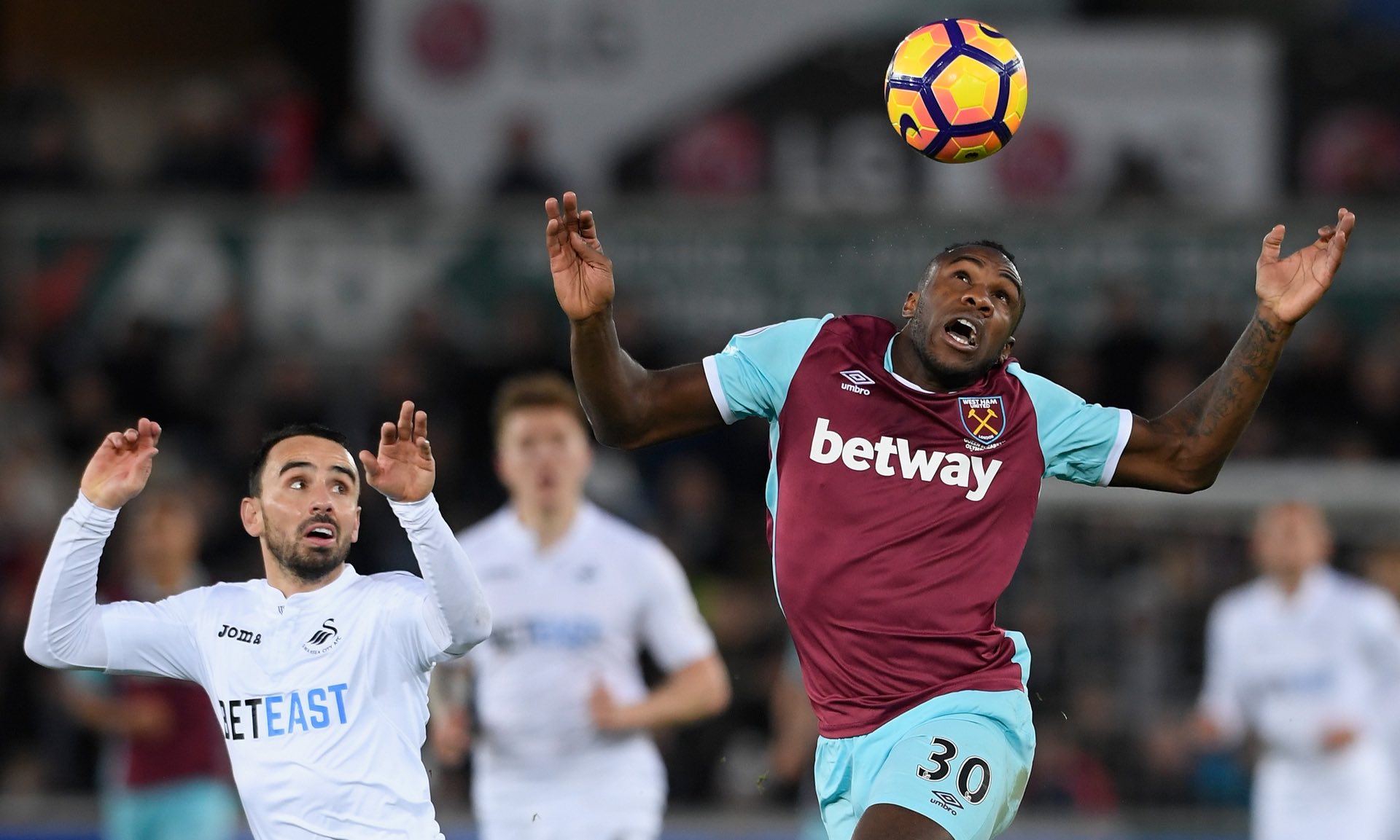 他知道足球 他知道足球