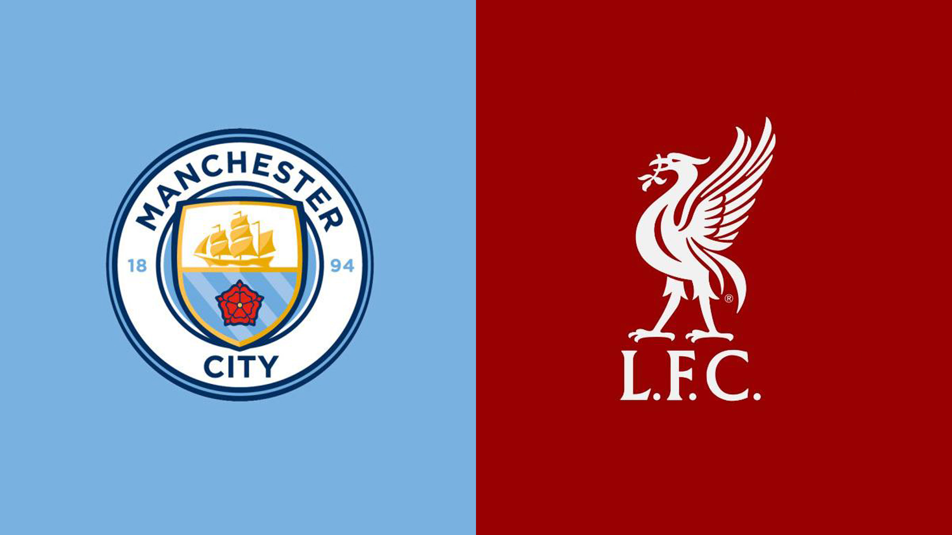 我们会看到 我们会看到